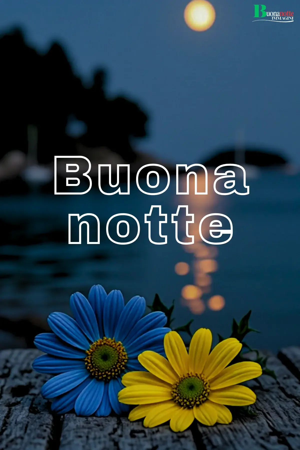 Margherite blu e gialla su molo con luna riflessa sull'acqua buonanotte